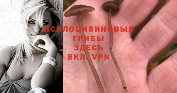 прущие крисы Пересвет