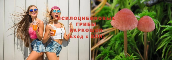 прущая мука Пестово