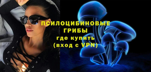 крисы Переславль-Залесский