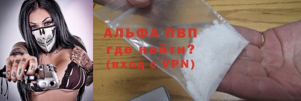 прущие крисы Пересвет