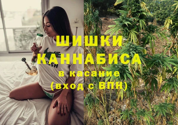 прущие крисы Пересвет