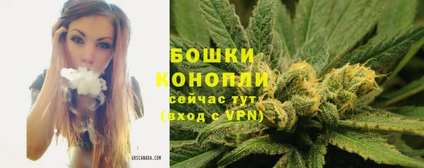 прущие крисы Пересвет