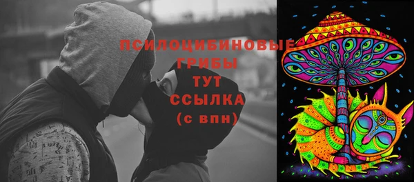 прущие крисы Пересвет