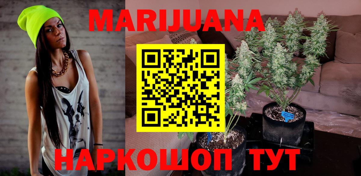 Красноярск  Канабис план  Канабис конопля  Каннабис MAZAR  Бошки марихуана OG Kush  Вход с VPN 